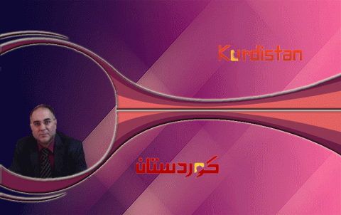 منظمات المجتمع المدني الكوردي 