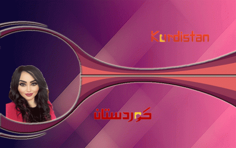   الخبز السياسي   