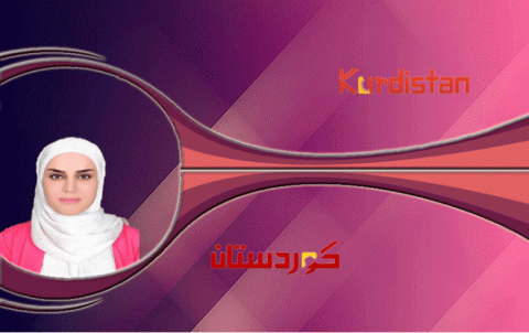 الإطاحة بالأسد: محورية العنف الطائفي والتدخلات التركية 