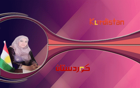 قوة القانون في المجتمع