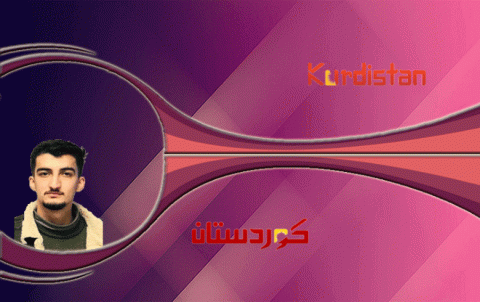 الفيدرالية الكوردية ضرورة سياسية لبناء سوريا الجديدة 