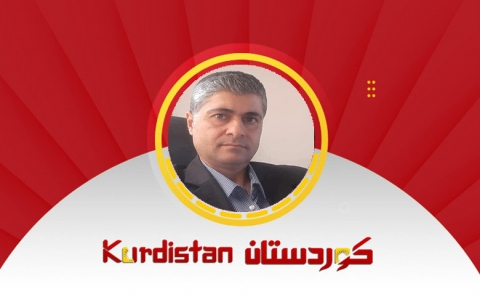 حيث يكون التنظيم رصيناً