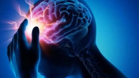 دراسة تكشف: دهون البطن تزيد من سرعة شيخوخة الدماغ وتضعف الذاكرة